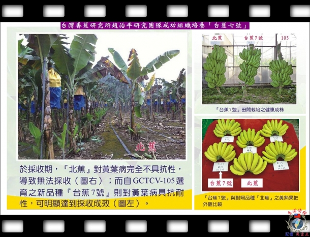 台灣香蕉研究所研發新品種與高雄餐旅大學產學跨領域合作