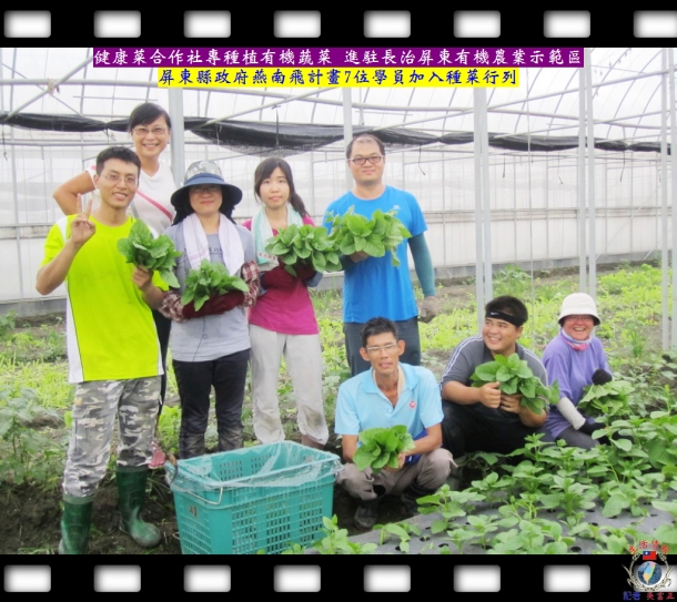 健康菜合作社專種植有機蔬菜 進駐長治屏東有機農業示範區