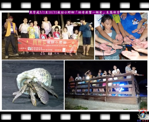 東管處5/1至10/31夜訪小野柳「給寄居蟹一個家」生態保育