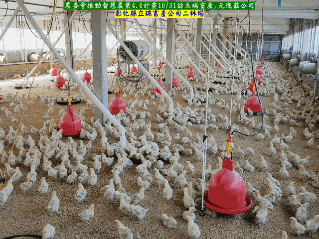 農委會推動智慧農業4.0計畫10/31訪立瑞畜產,元進莊公司